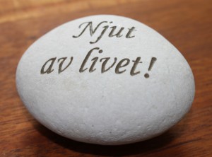 En sten med texten njut av livet.